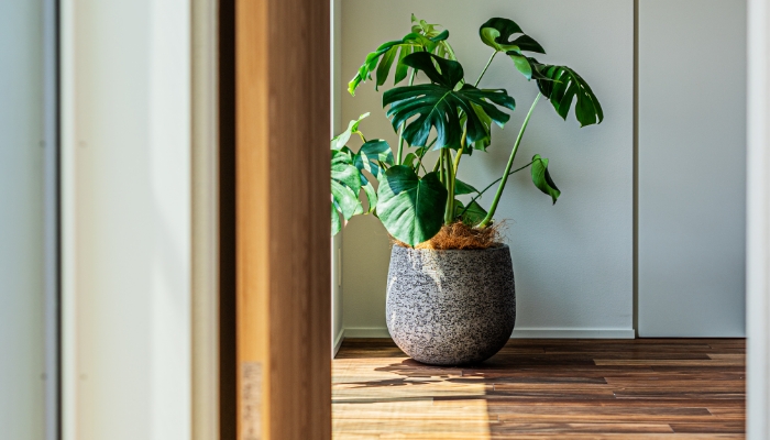 WITHDOM建築設計 福岡 注文住宅