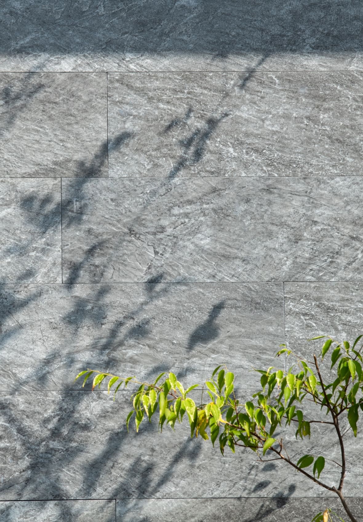 WITHDOM建築設計 茨城スタジオ